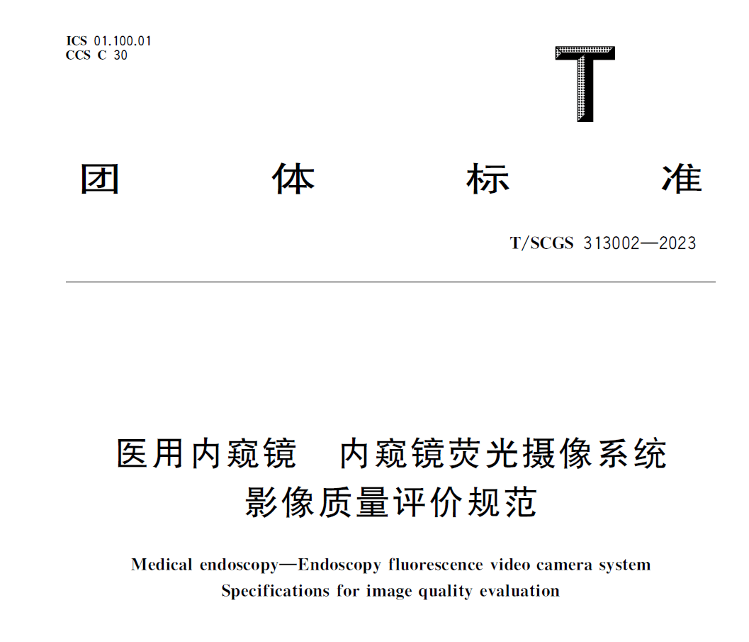 T/SCGS 313002-2023 �ɹ�z��ϵ�y(t��ng)�z�y�O��